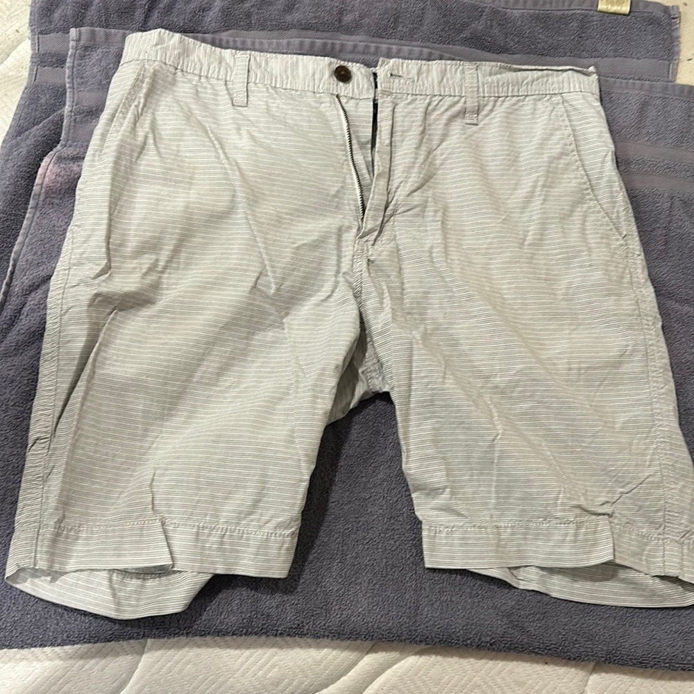 U.S. Polo Men Shorts